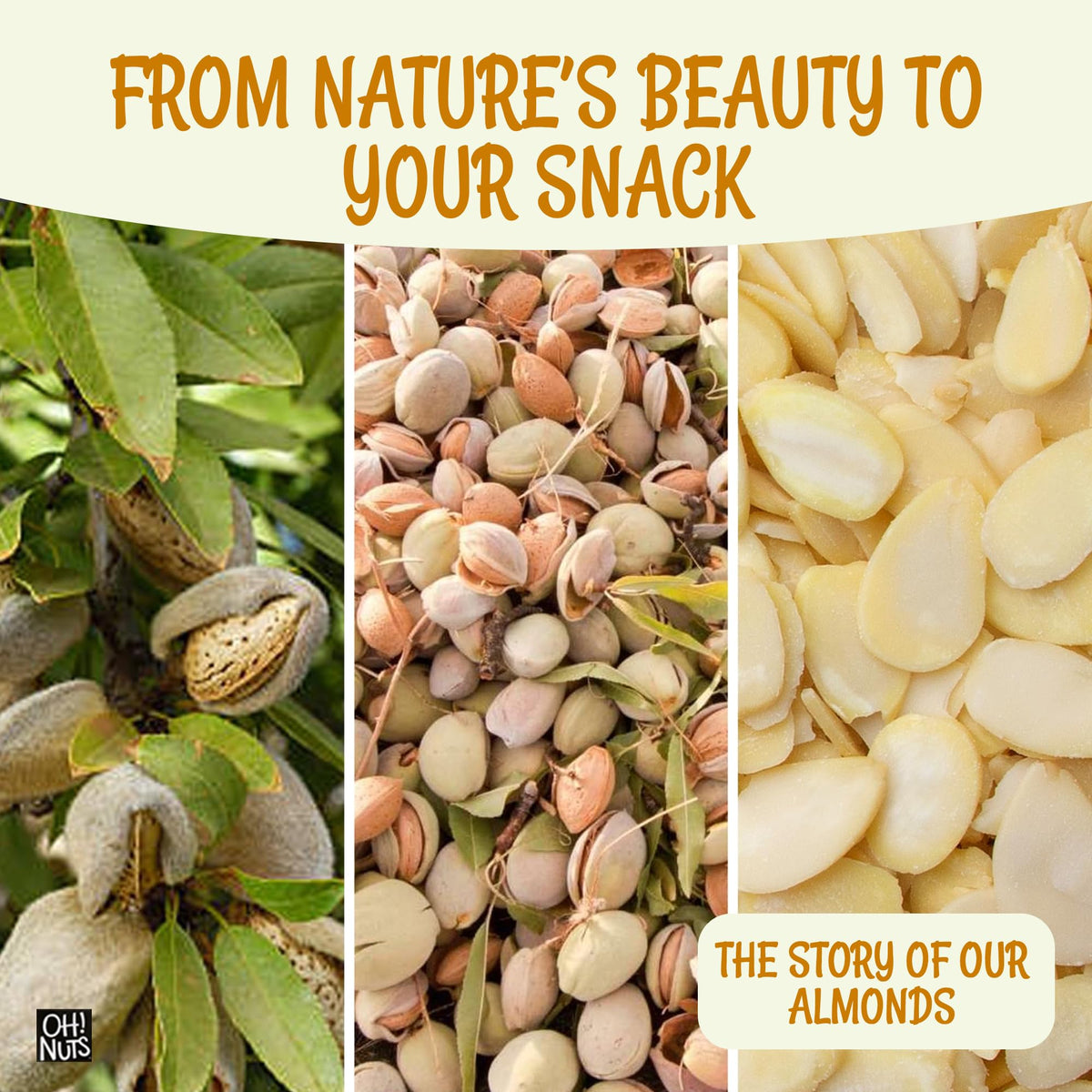 Oh! Nuts Almonds Blanched Sliced - Raw 1.5 lb | High-Protein & Kosher