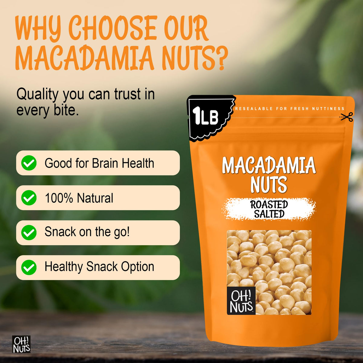 Oh! Nuts Roasted Salted Macadamia Nuts – 1 lb | Premium Dry-Roasted Macadamias