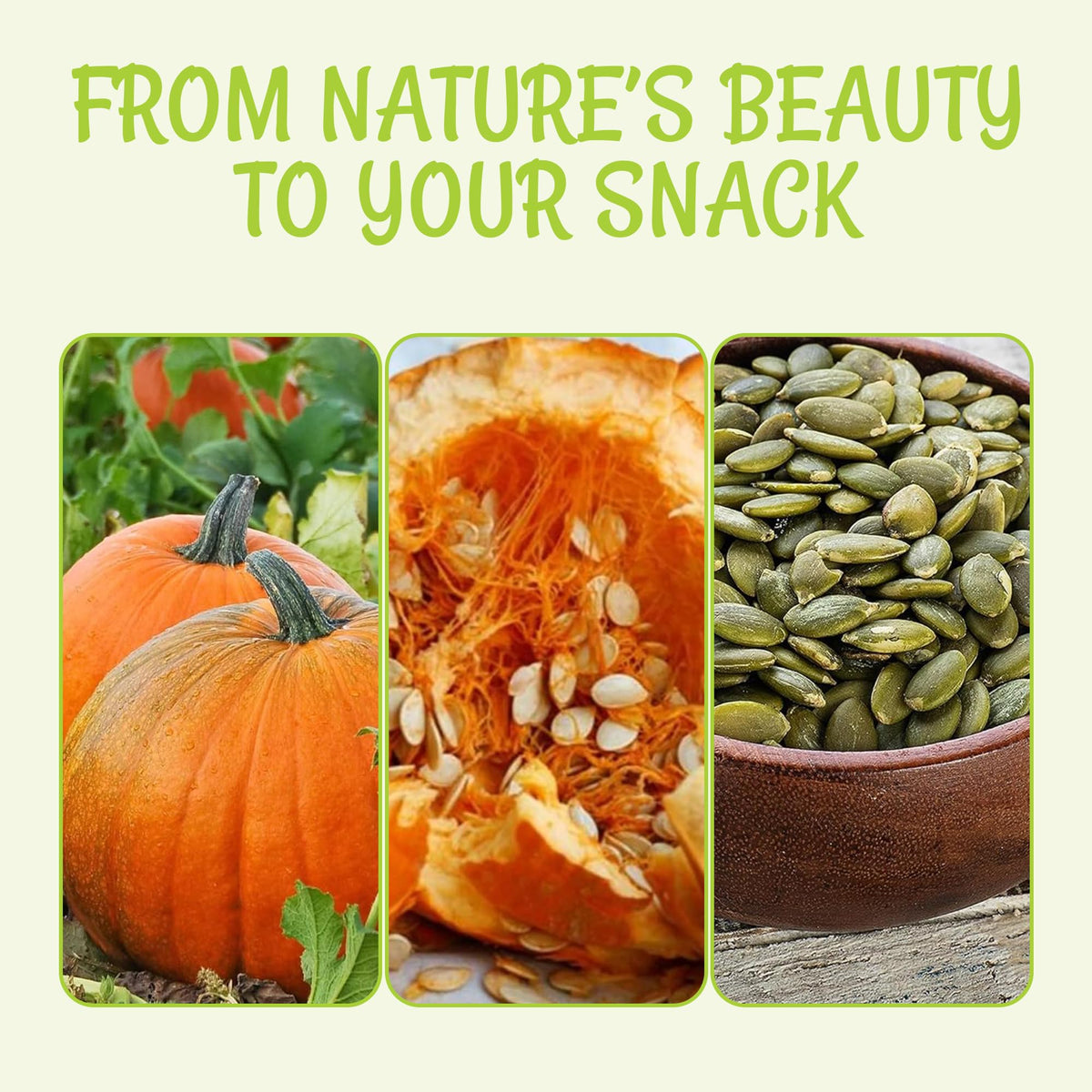 Oh! Nuts Pumpkin Seeds - Roasted Salted Pepitas, 2 lb Bulk Bag | Fresh, No Shell & Kosher