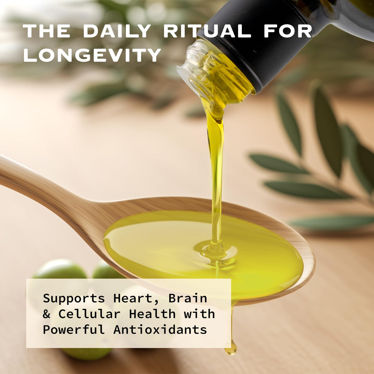 OLIVEA High Phenolic Olive Oil – 500+ mg/kg Polyphenols | Early Harvest Koroneiki EVOO 500ml
