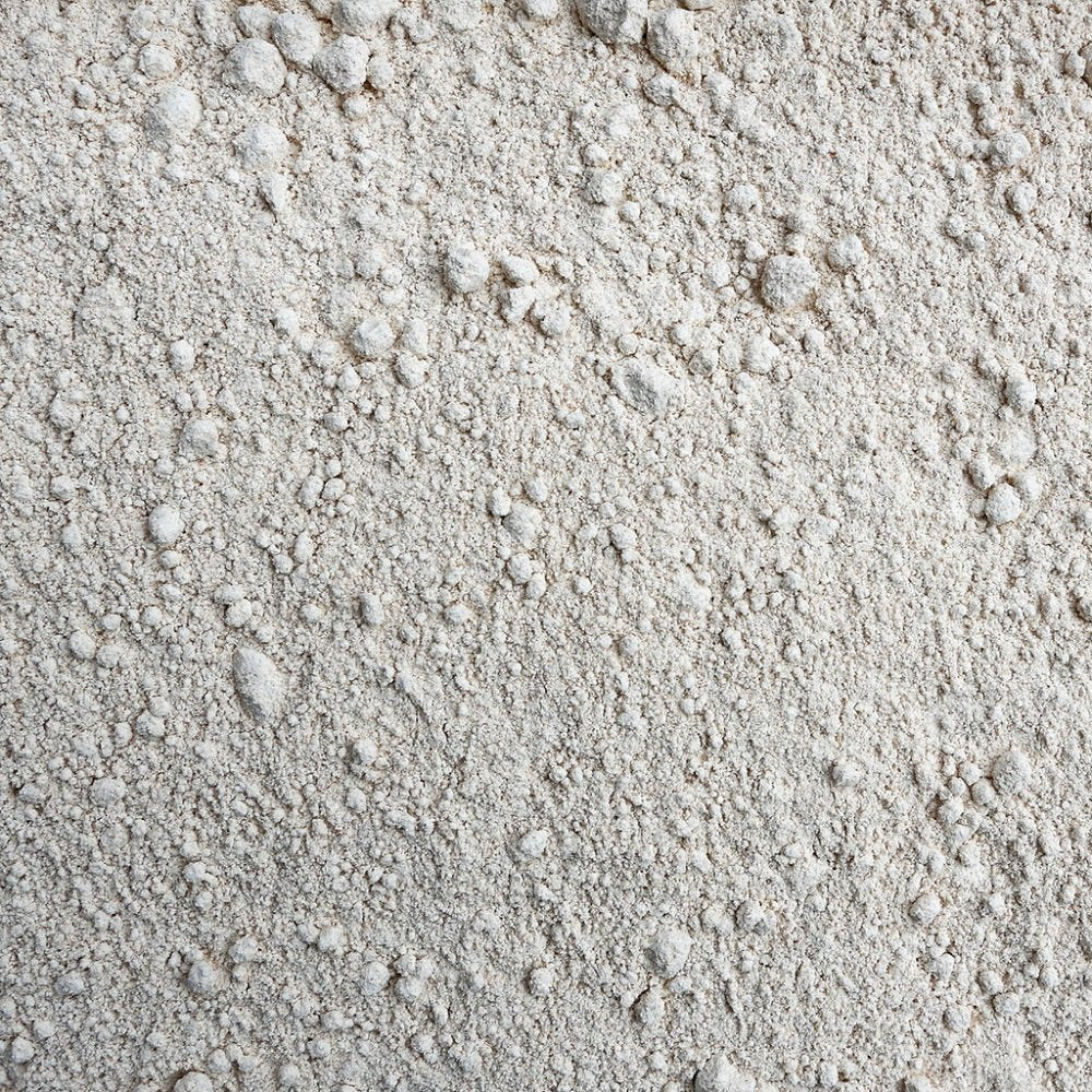 One Degree Organic Foods Organic Sprouted Spelt Flour – 80 oz