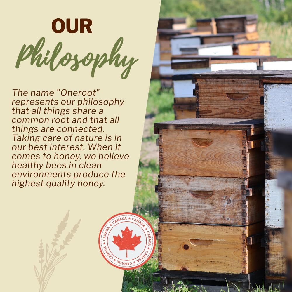 OneRoot Raw Buckwheat Honey – 500g, Unheated & Unfiltered, Dark, Nutrient-Rich Natural Sweetener