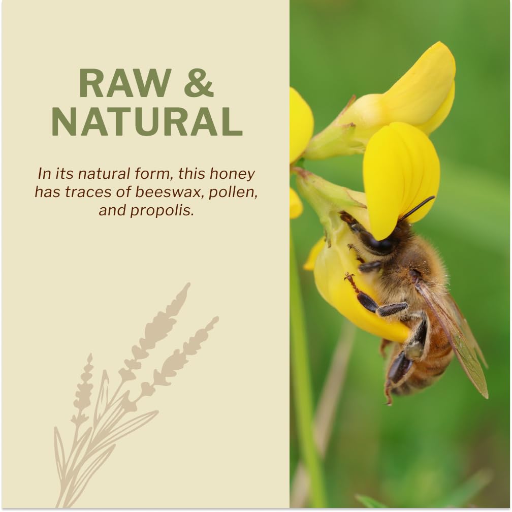 OneRoot 100% Organic Canadian Wildflower Honey – Raw, Unheated & Creamed | 17.6 oz