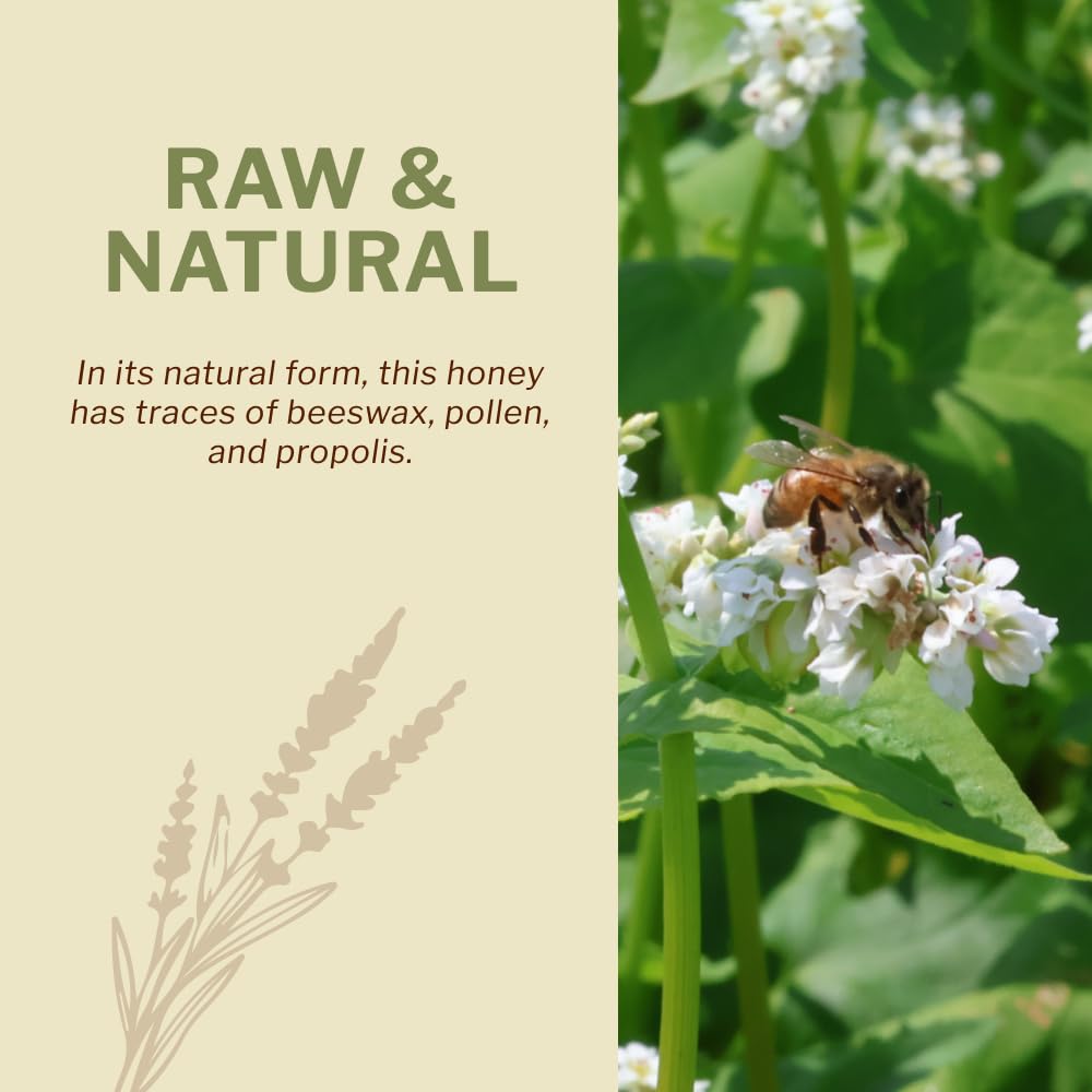 OneRoot Raw Buckwheat Honey – 500g, Unheated & Unfiltered, Dark, Nutrient-Rich Natural Sweetener