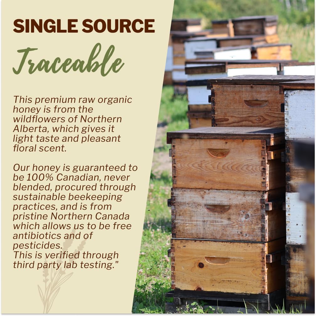 OneRoot 100% Organic Canadian Wildflower Honey – Raw, Unheated & Creamed | 17.6 oz