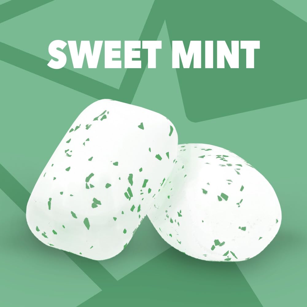 ORBIT Sweet Mint Gum Sugar-Free — 6-Pack Bulk