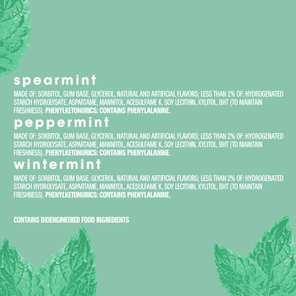Orbit Assorted Mint Sugar Free Gum Bulk Pack – Peppermint, Spearmint & Wintermint, 200 Pieces