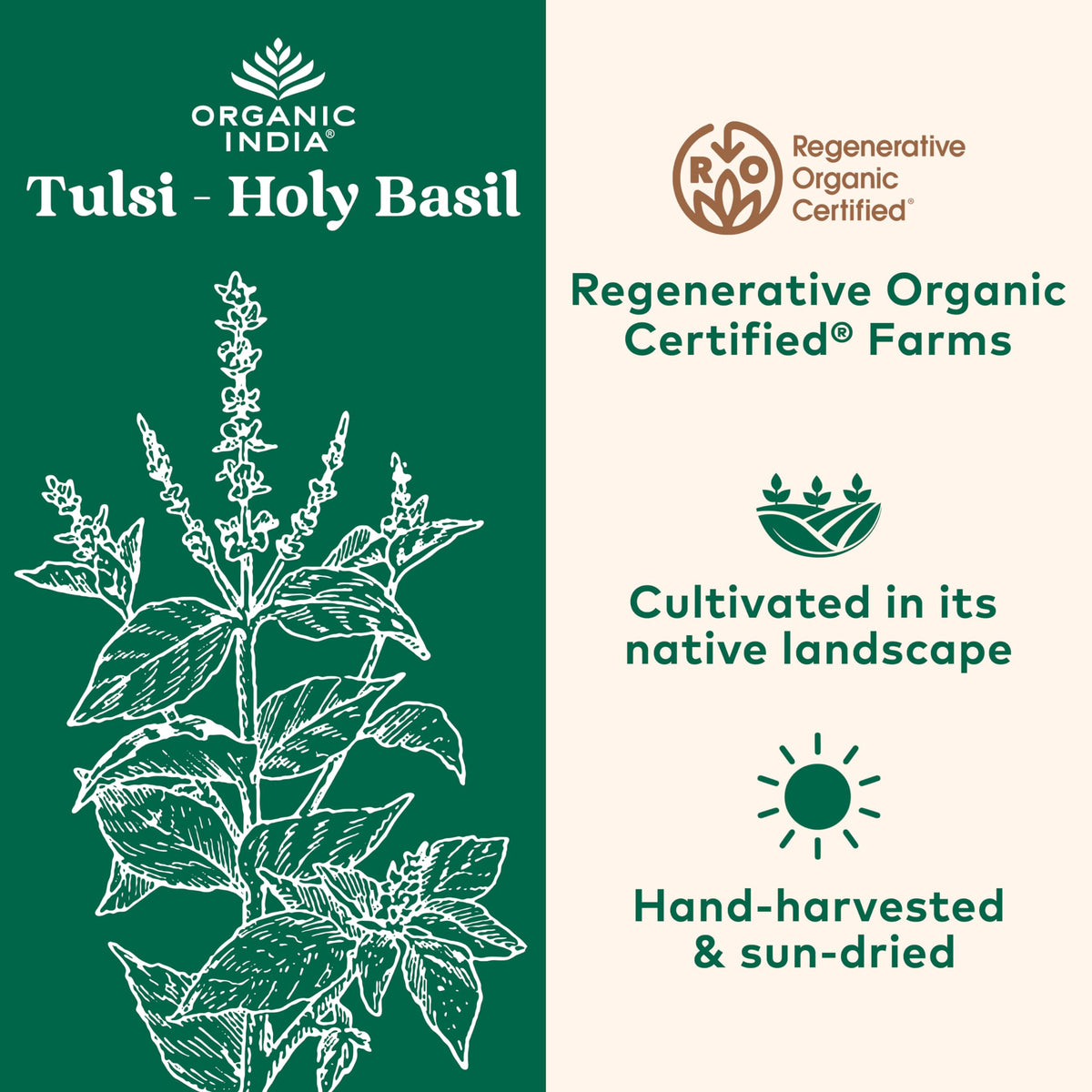 Organic India Tulsi Original Loose Leaf Tea – Immune Support, Caffeine-Free, 1 lb Bag