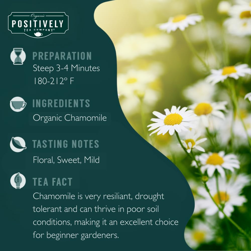 Organic Positively Tea Company Chamomile Tea – Loose Leaf Herbal Tea, 16 oz