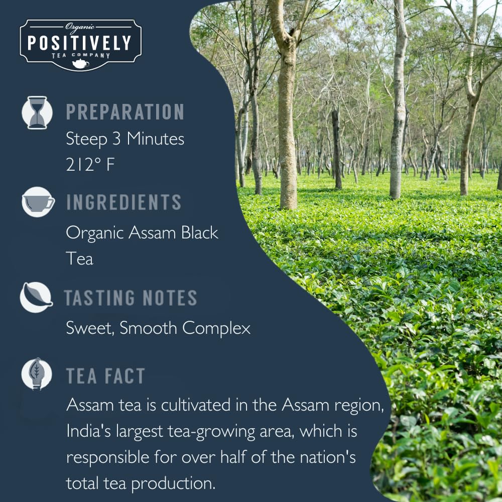 Organic Positively Tea Company Assam TGFOP Black Tea – Loose Leaf, 16 oz