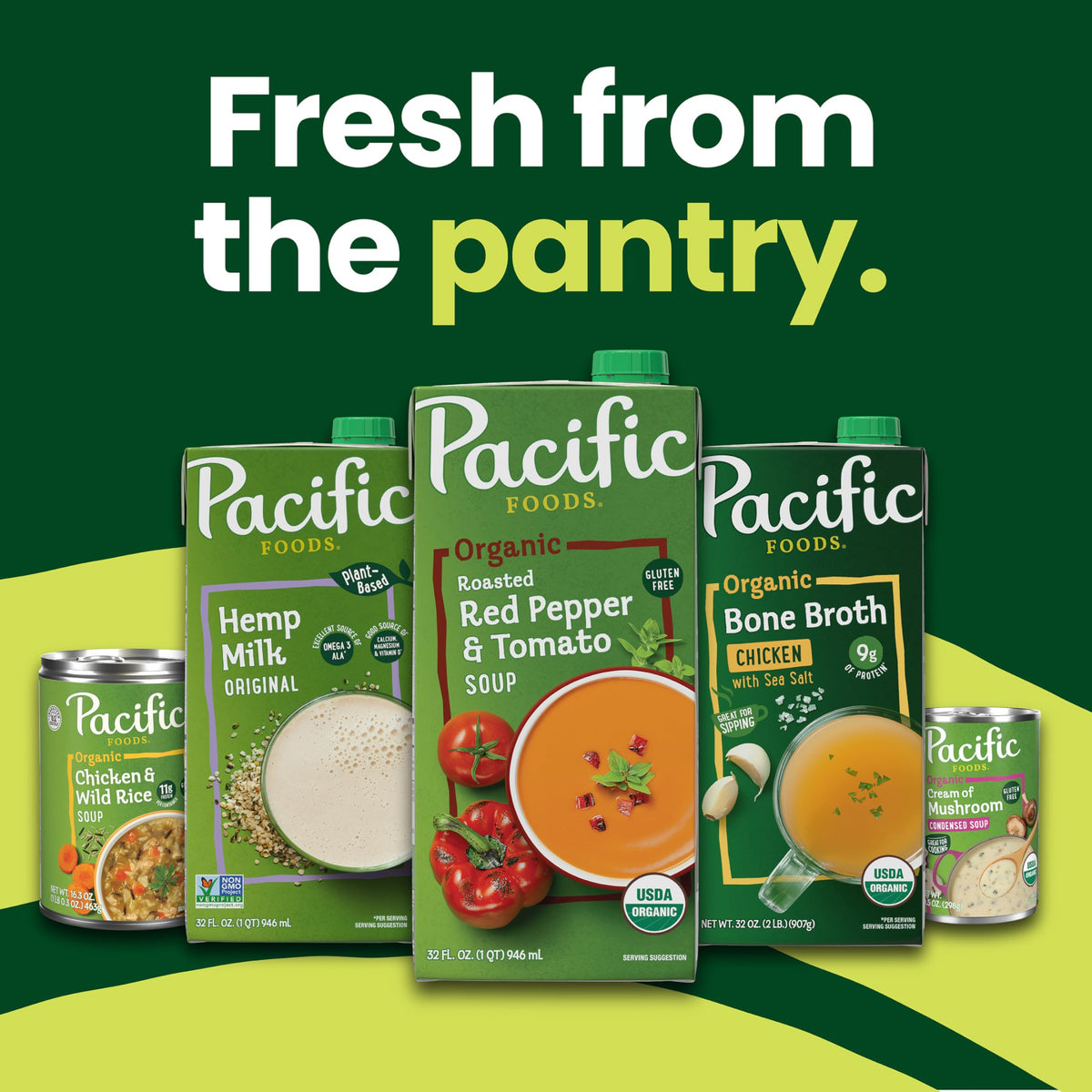 Pacific Foods Organic Free-Range Chicken Broth – 8 oz Carton (24 Pack)