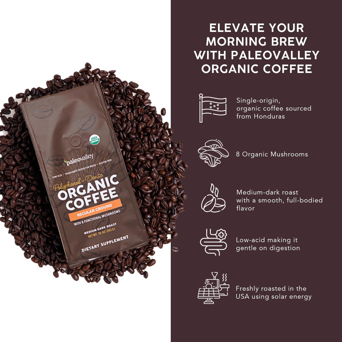Paleovalley Organic Ground Coffee, 10oz – Low-Acid, Single-Origin, Mushroom-Infused