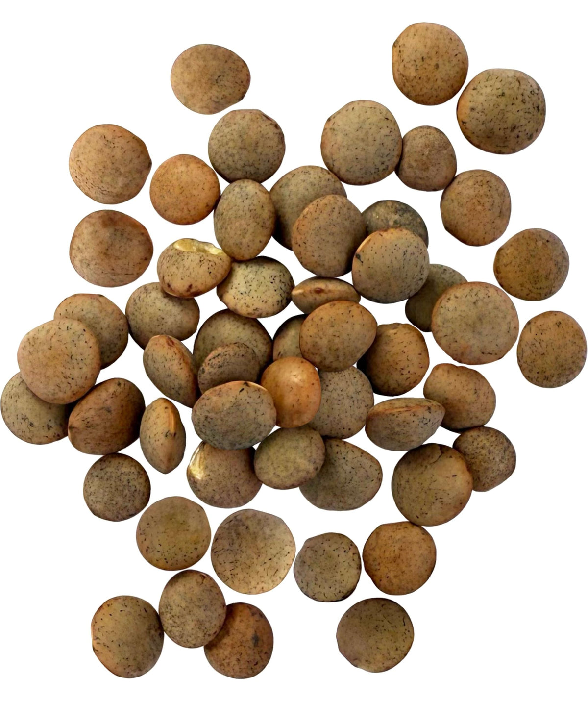 Palouse Brand Glyphosate Residue Free Brown Lentils – 5 LBS, Non-GMO, Kosher