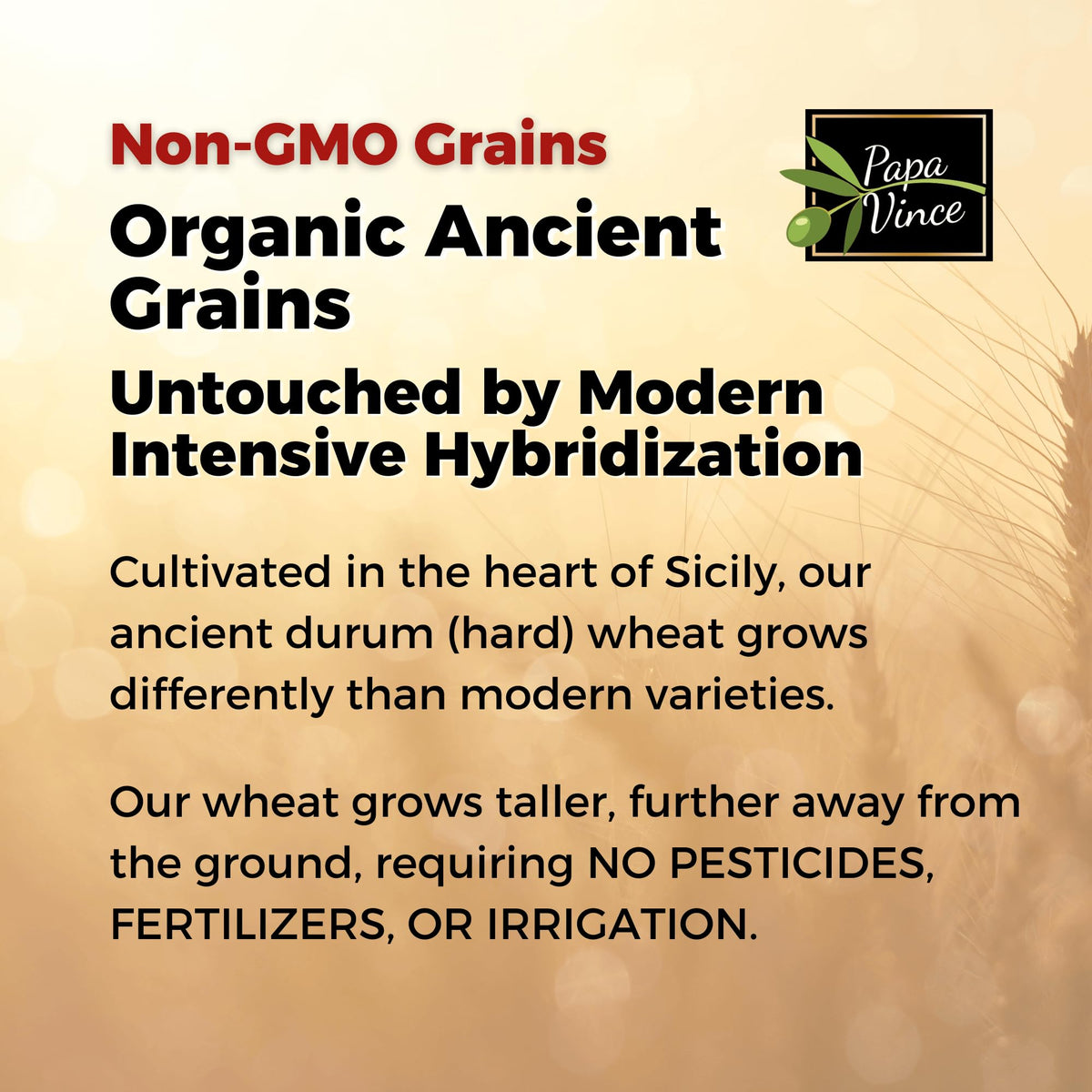 Papa Vince Organic Non Enriched Pasta — Ancient Sicilian Durum Busiate, Slow-Dried Bronze Die-Cut