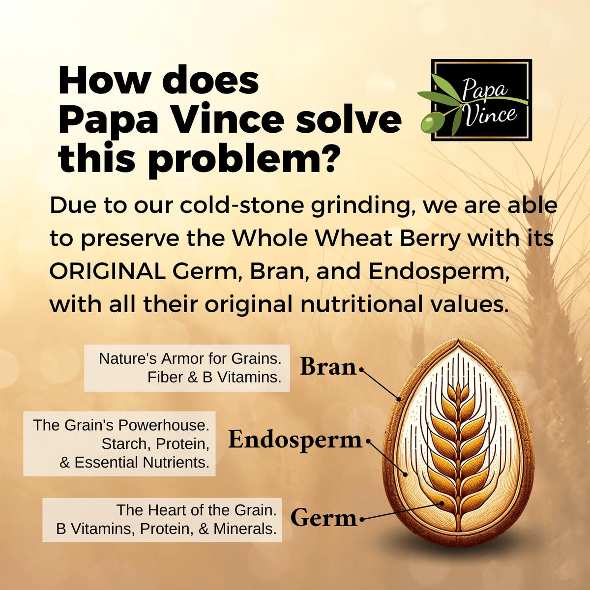 Papa Vince Organic Non Enriched Pasta — Ancient Sicilian Durum Busiate, Slow-Dried Bronze Die-Cut