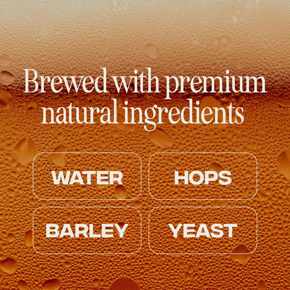 Partake Blonde Non Alcoholic Beer – Low Calorie, No Sugar, 12 Pack