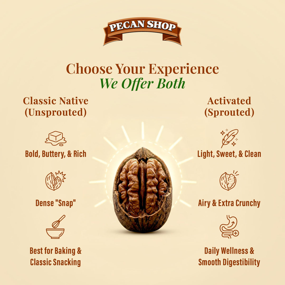 Pecans Unsalted Sprouted Organic Raw — 12 oz | Pecan Shop