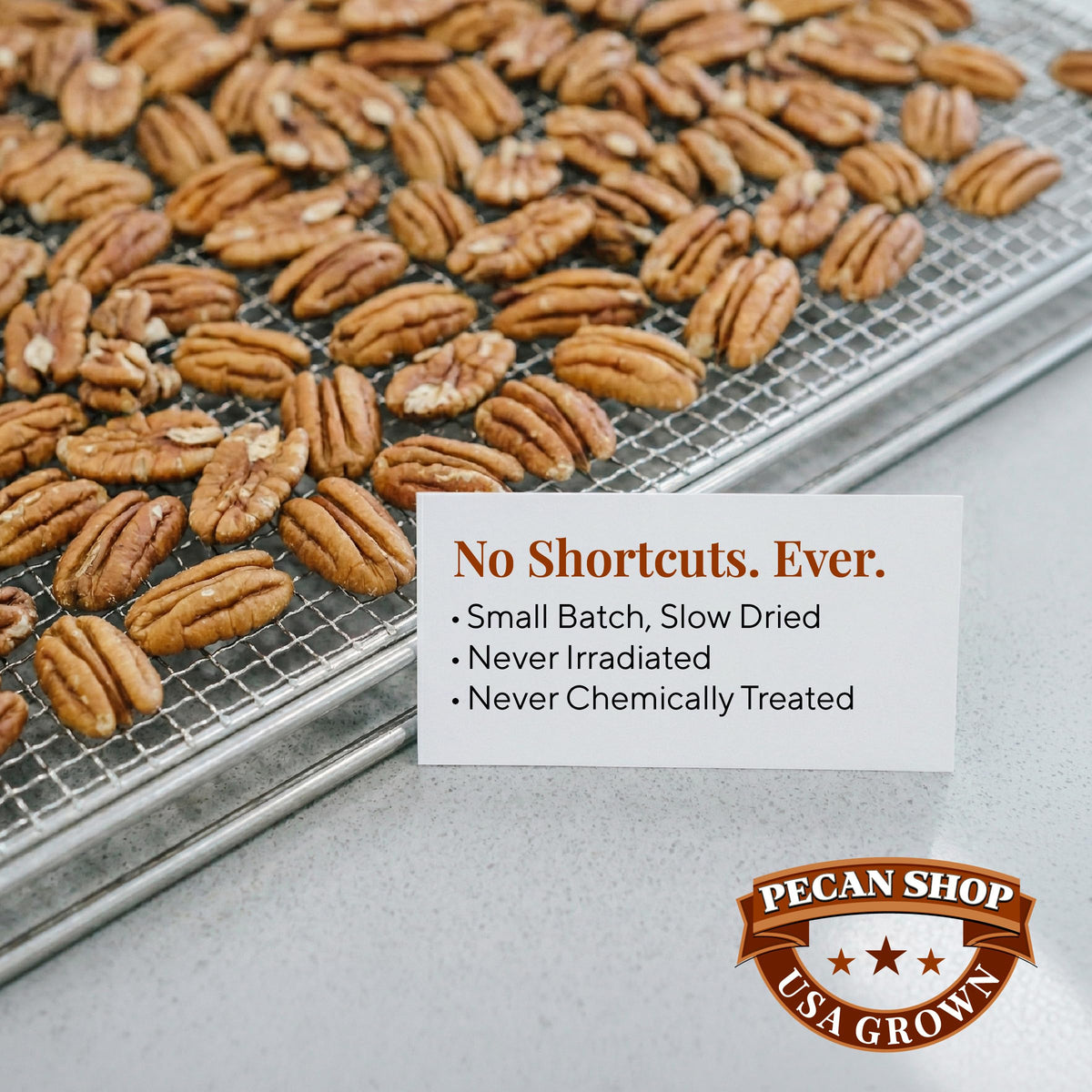 Pecan Shop Unsalted Sprouted Raw Texas Native Pecans – 2 lb, Wild-Harvested & Family Recipe Crispy