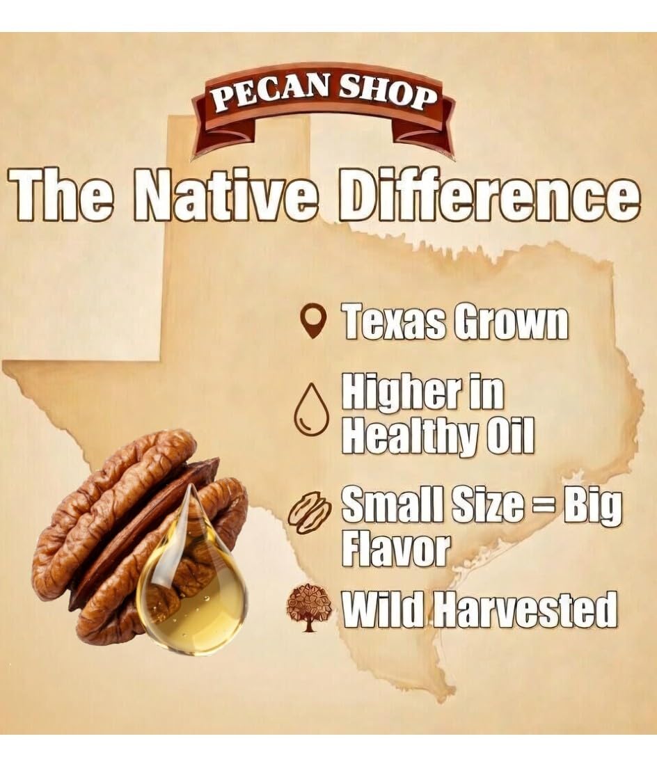Pecans Unsalted Sprouted Organic Raw — 12 oz | Pecan Shop