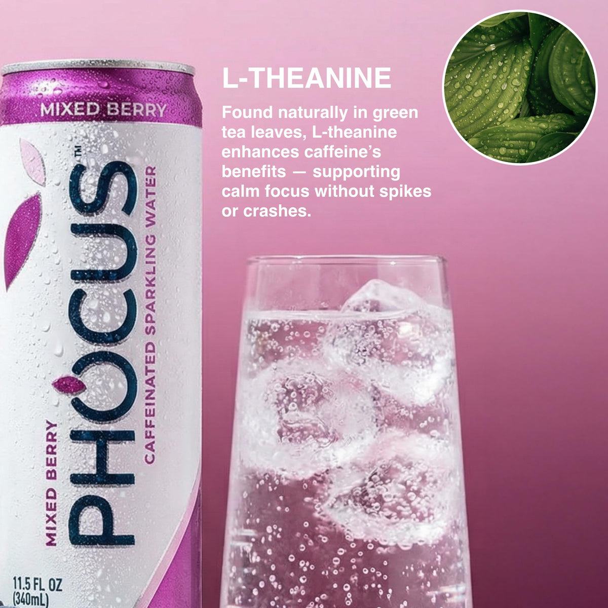 CLEAR CUT PHOCUS Phocus Caffeinated Sparkling Water — Mixed Berry | 0 Sugar, 75mg Caffeine + L-Theanine | 11.5oz x12