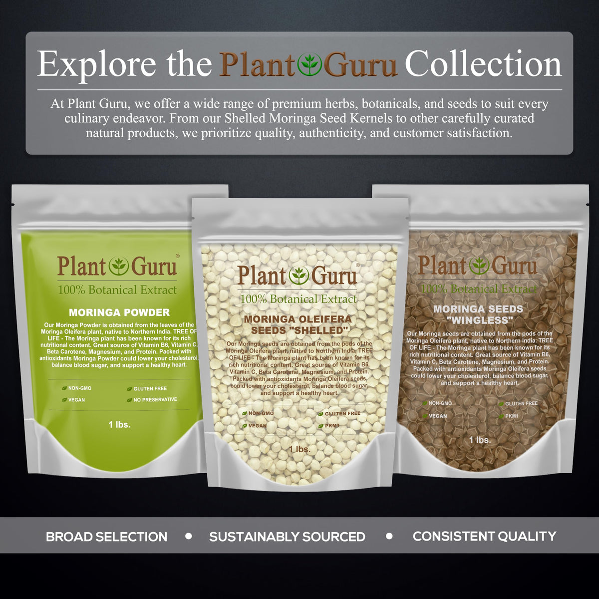Plant Guru Moringa Seeds Kernel Shelled – 2 lb Jar | PKM1 Non-GMO Edible Seeds