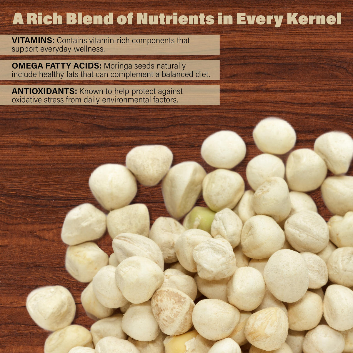 Plant Guru Moringa Seeds Kernel Shelled – 2 lb Jar | PKM1 Non-GMO Edible Seeds