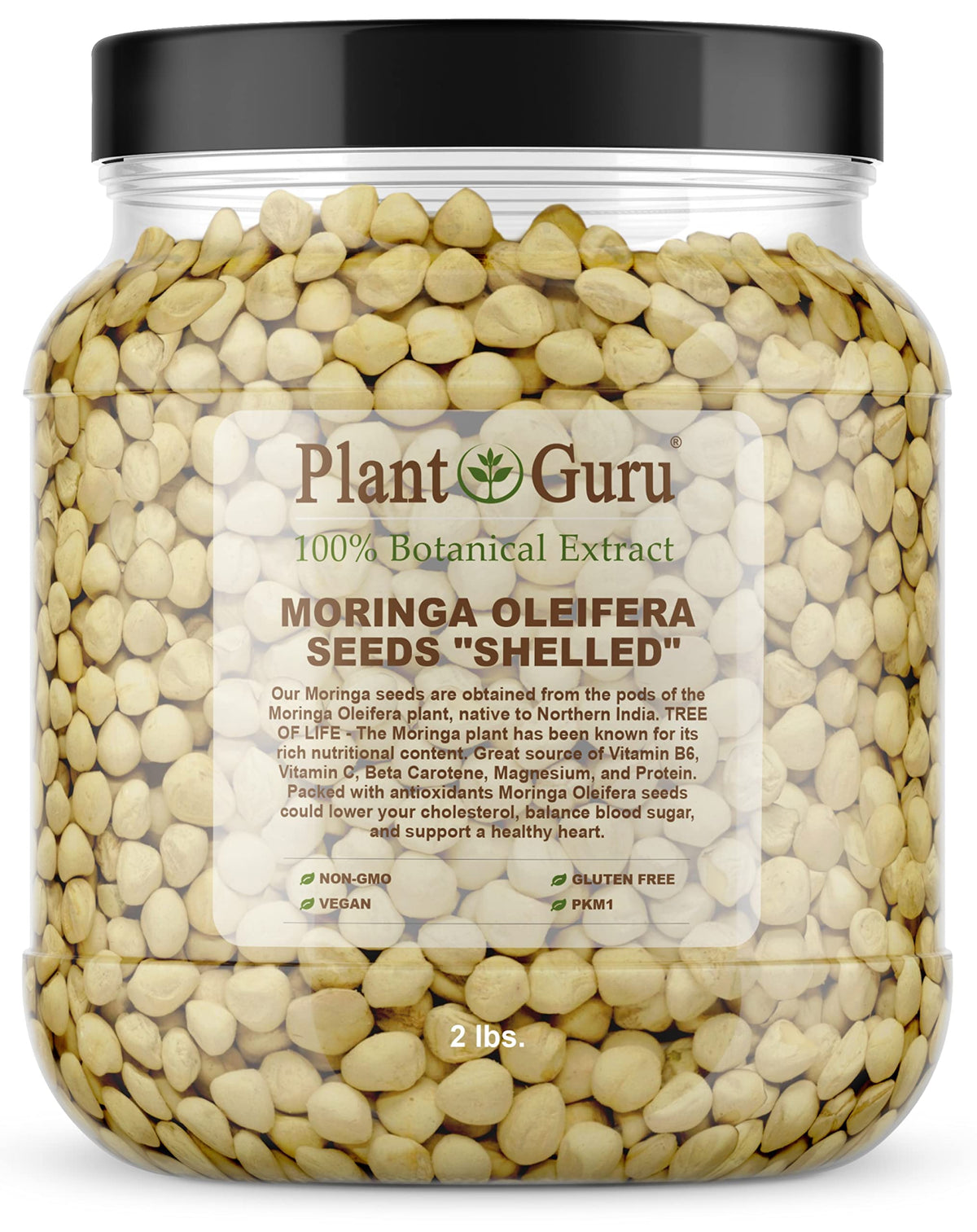 Plant Guru Moringa Seeds Kernel Shelled – 2 lb Jar | PKM1 Non-GMO Edible Seeds