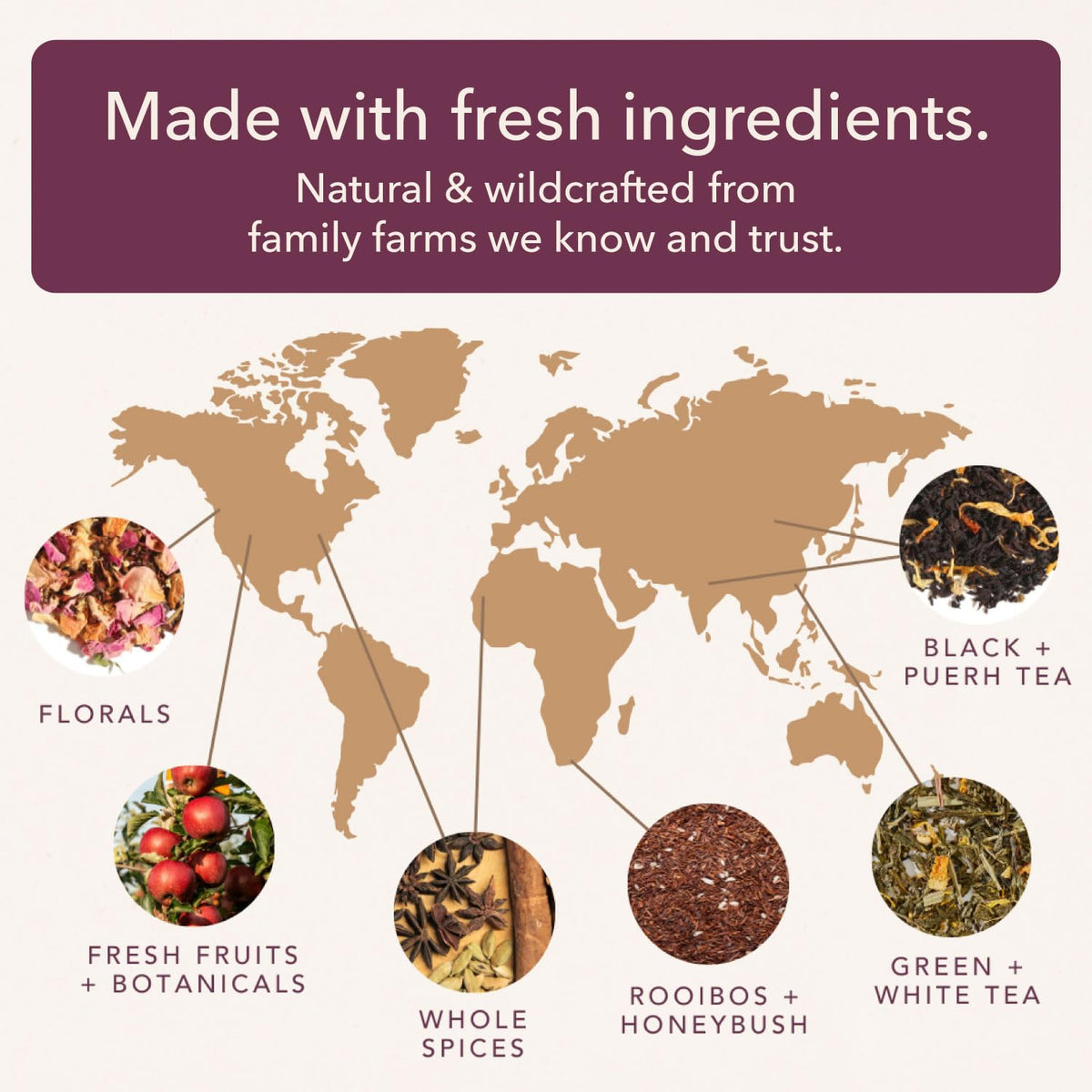 Plum Deluxe Loose Leaf Tea Sampler – 5 Blends, 75–100 Cups, Handcrafted in USA