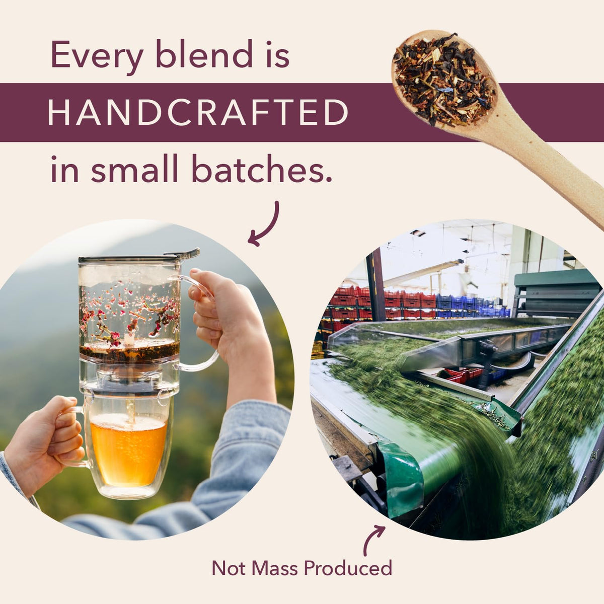 Plum Deluxe Loose Leaf Tea Sampler – 5 Blends, 75–100 Cups, Handcrafted in USA