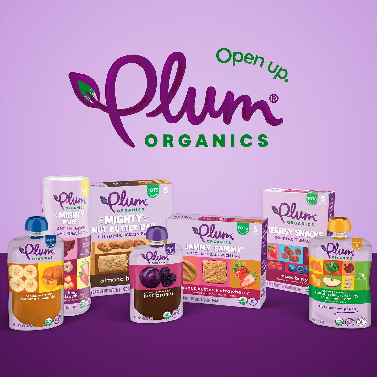 Plum Organics Teensy Snacks - Soft Fruit Snacks, Mixed Berry, 0.35 oz Bags (Pack of 40) - Organic Toddler Snack