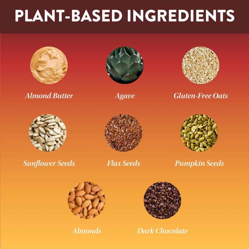 Protein Puck Plant Based Bars – Daily Bliss, 16 Count, Gluten Free, Non-Dairy, Kosher Certified