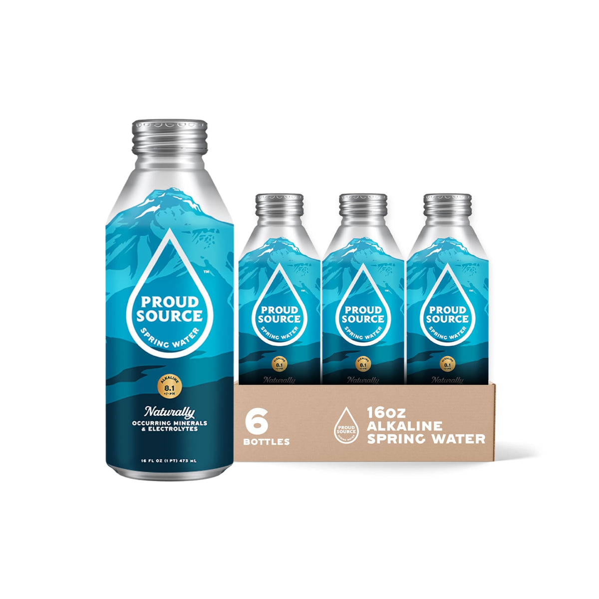 Proud Source Alkaline Spring Water – Rocky Mountain Mineral Water with Electrolytes (16 oz, Pack of 6)