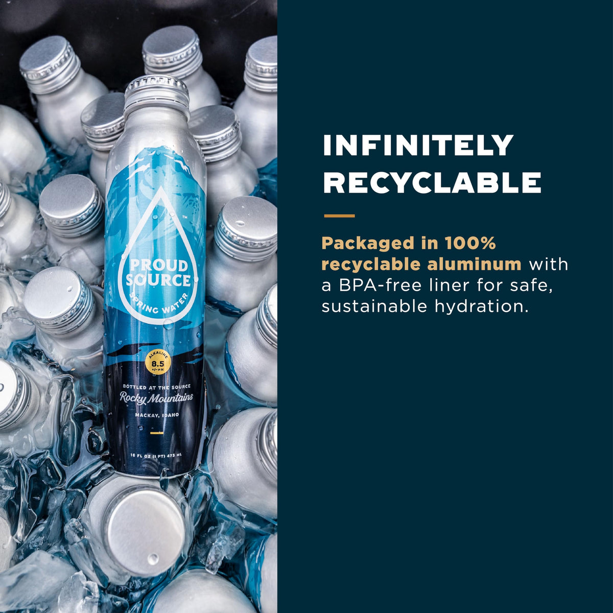 Proud Source Alkaline Spring Water – Rocky Mountain Mineral Water with Electrolytes (16 oz, Pack of 6)