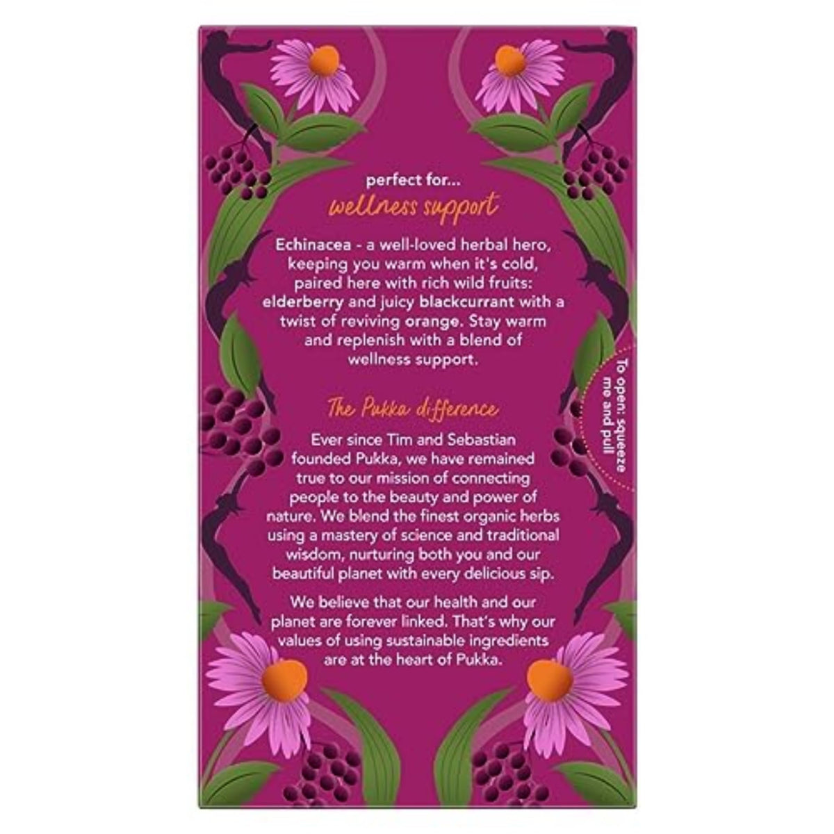 Pukka Elderberry & Echinacea Organic Herbal Tea — Decaf, 80 Bags (4-Pack) | Caffeine-Free Wellness Tea
