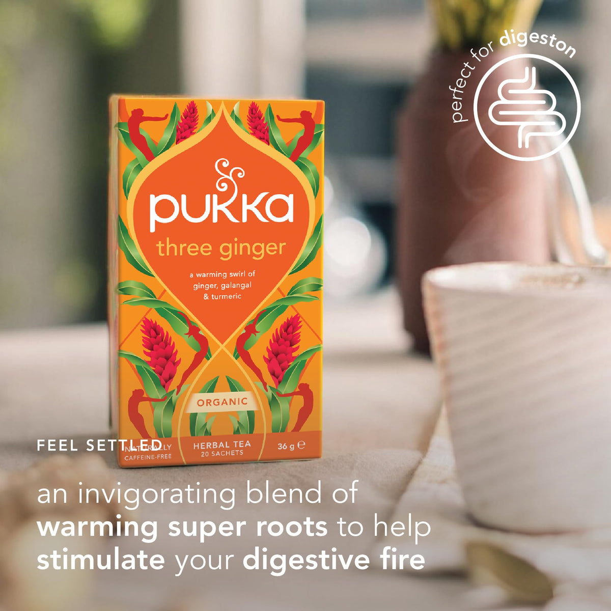 Pukka Three Ginger Organic Herbal Tea – Caffeine Free, Digestion-Friendly, 80 Bags (4x20)