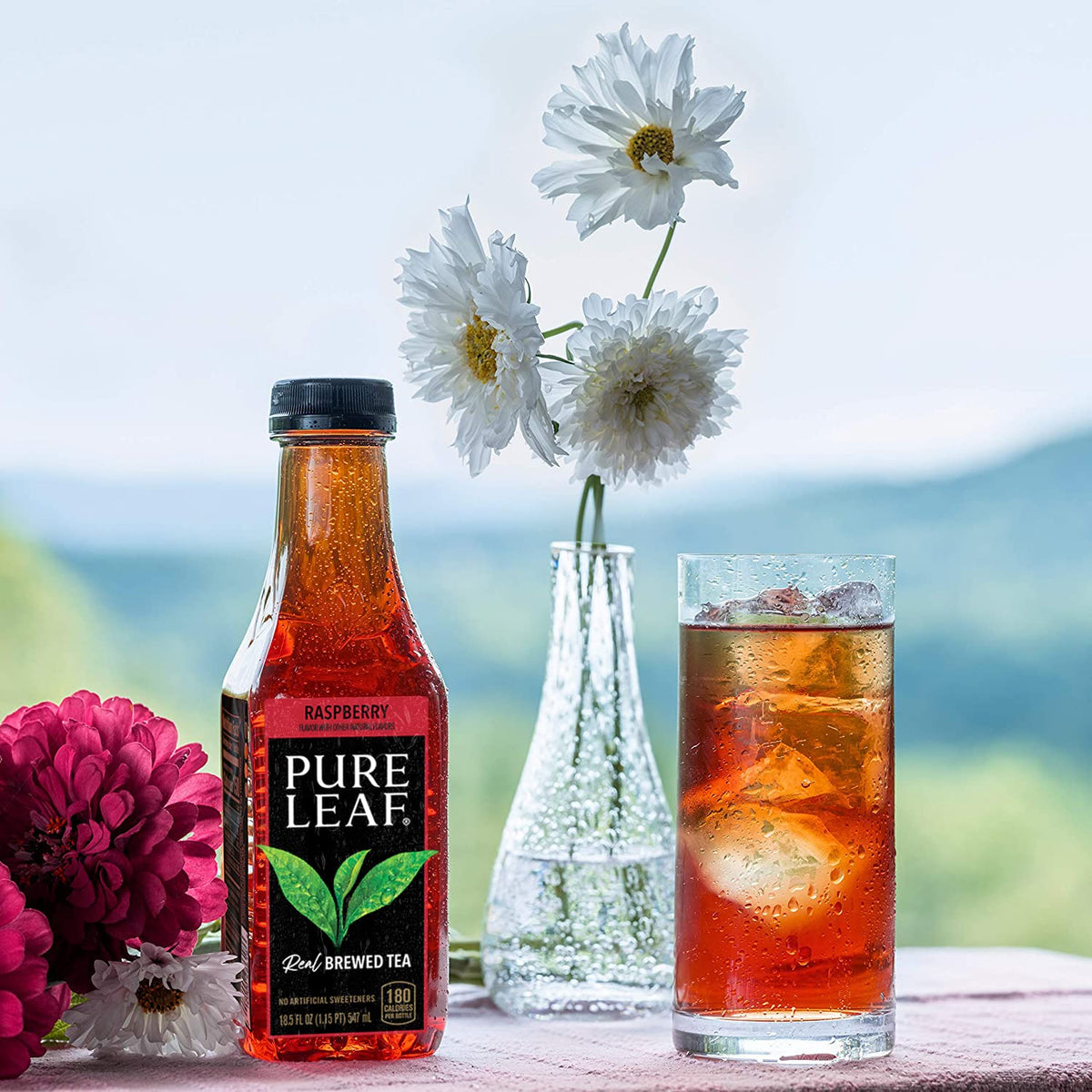 Pure Leaf Raspberry Iced Tea – Real Brewed Tea, 18.5 oz Bottles (Pack of 12)