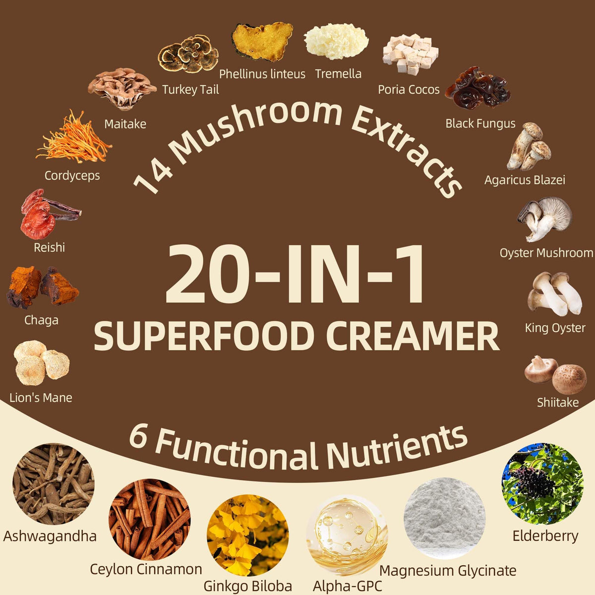 QIN SHAN TANG Mushroom Coffee Creamer – 50 Servings, 20-in-1 Superfood with 14 Mushrooms + Ashwagandha & Alpha-GPC