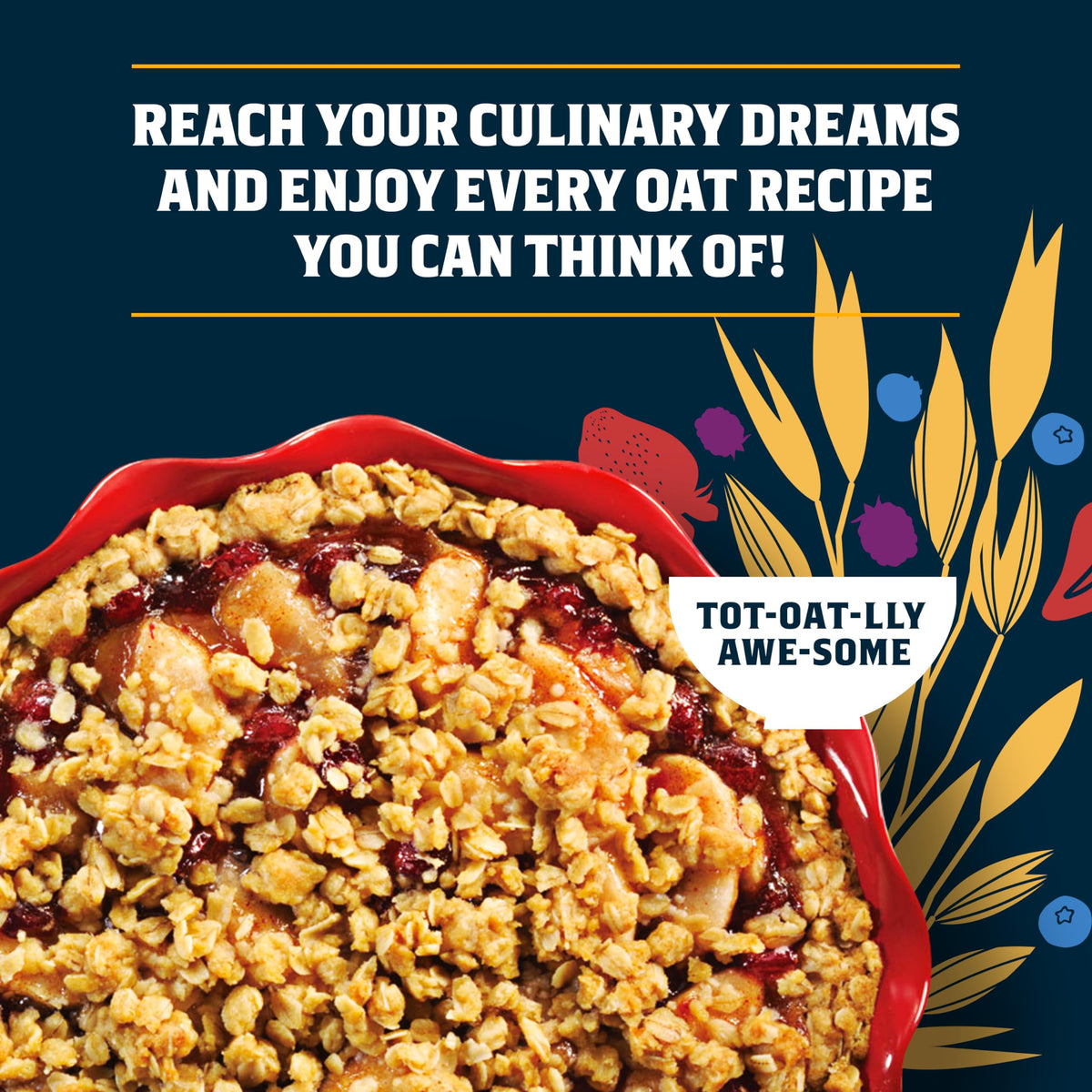 Quaker Organic Old Fashioned Oats – 4x24oz Resealable Bags | USDA Organic, Non-GMO