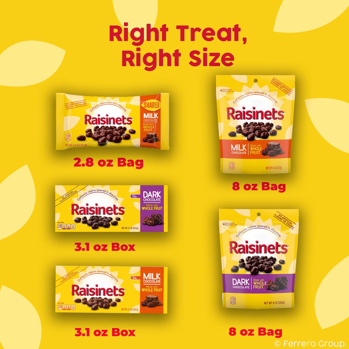Raisinets Milk Chocolate Covered Raisins – Gluten-Free California Movie Theater Candy, 3.1 oz, 15 Pack