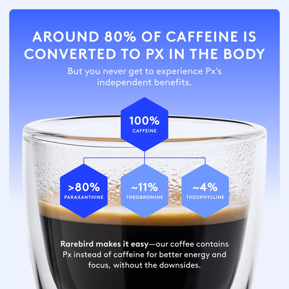 Rarebird Px Coffee – Award-Winning Paraxanthine Coffee for Clean Energy, Focus & Sleep Support | Low-Acid Arabica Decaf, Dark Roast, Ground, 12oz