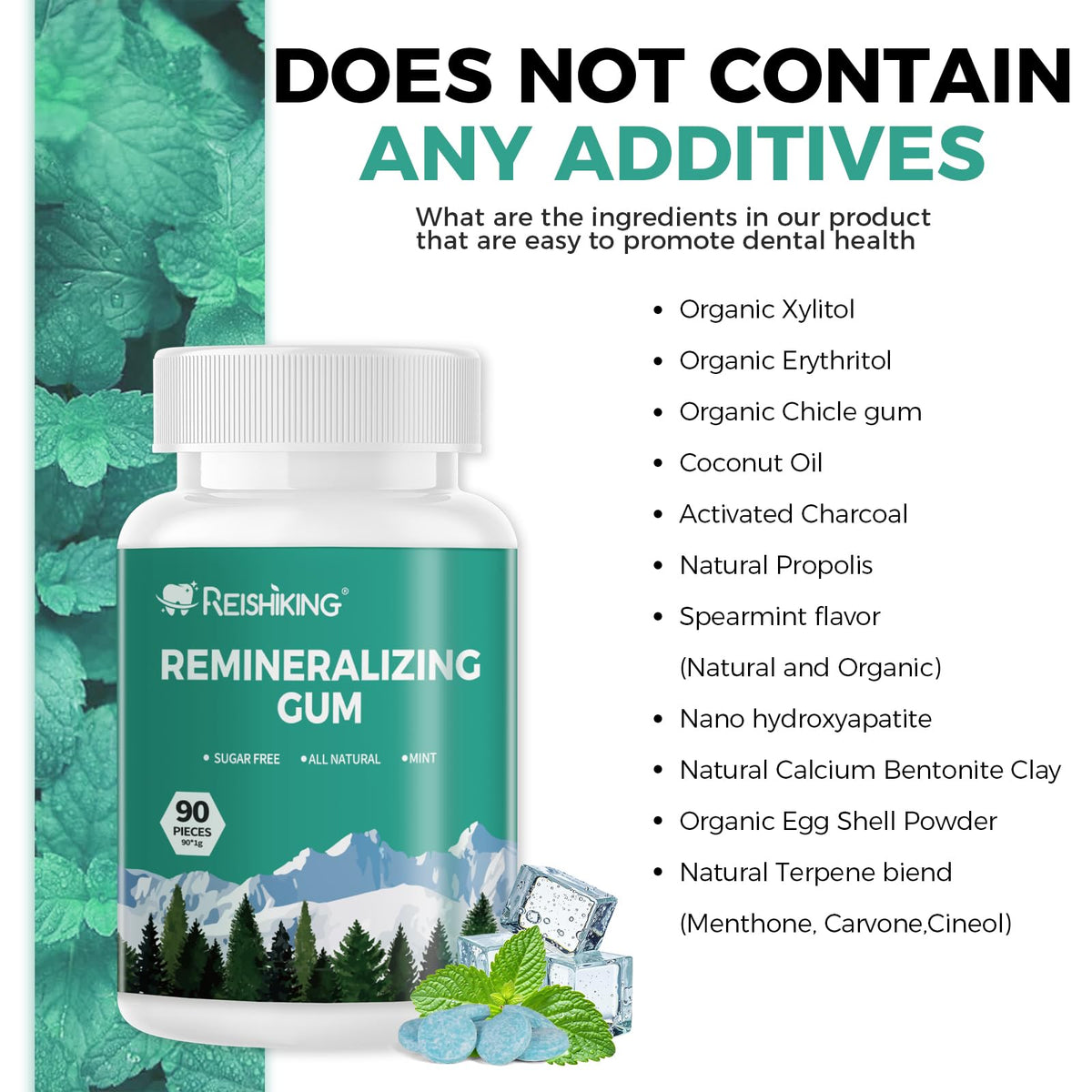 REISHIKING Remineralizing Gum with Hydroxyapatite – 90 Mint Pieces