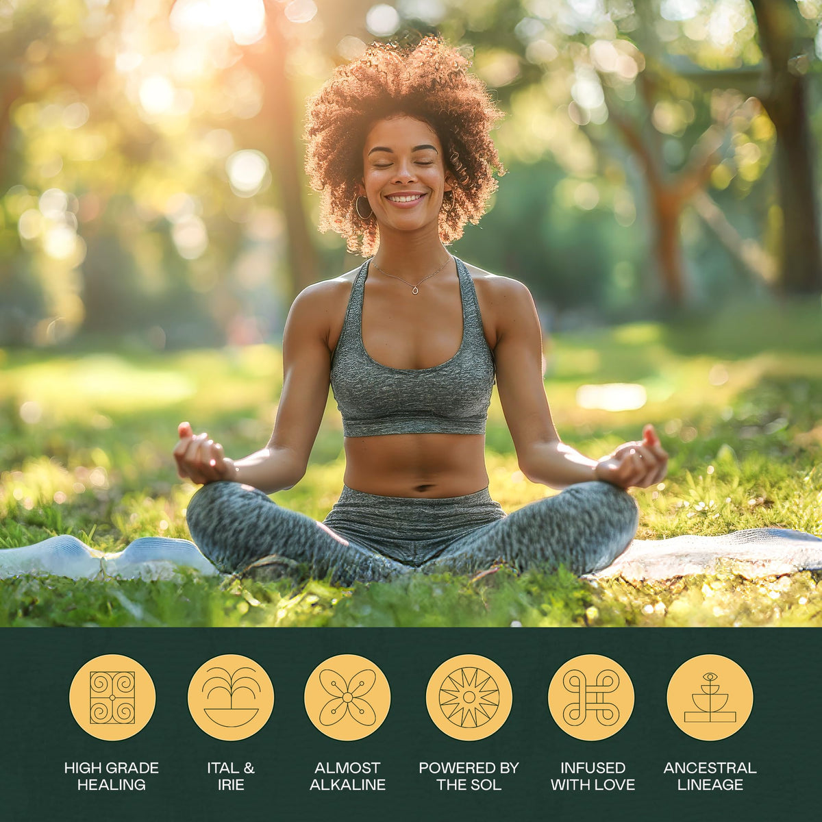 Rich Sol Foods St. John’s Bush Hormone Balance Tea for Women | Menstrual Relief & Fertility Support 44g