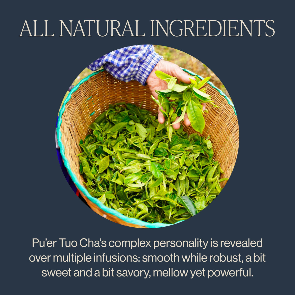 Rishi Tea Ancient Pu'er Tuo Cha - Organic Direct Trade, Medium Caffeine, 4 oz (15 Servings)