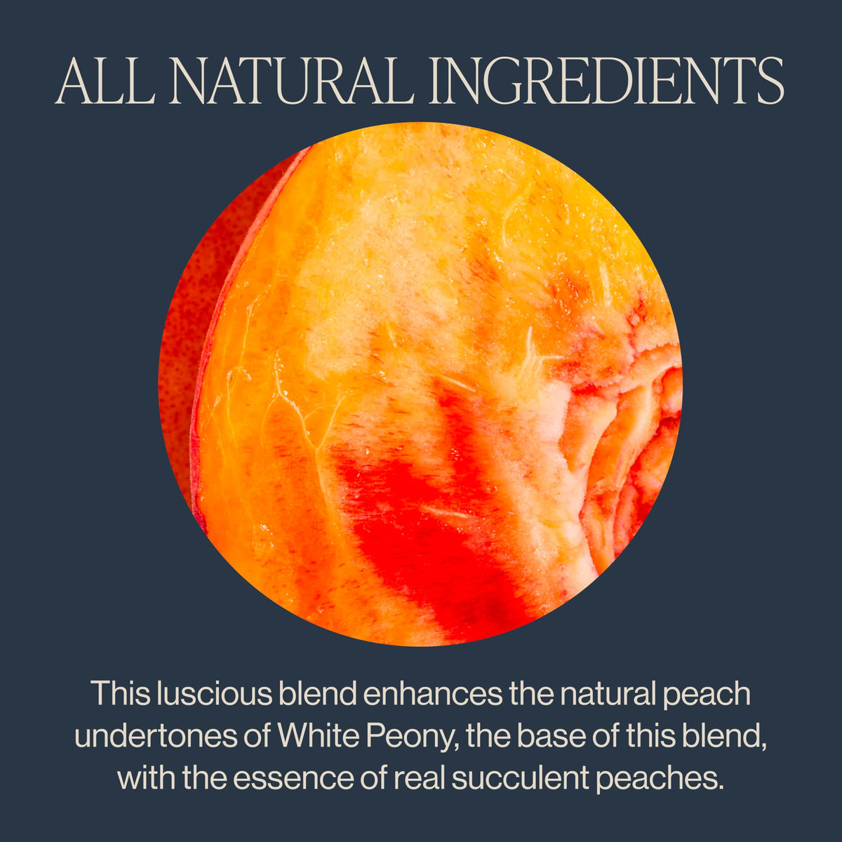 Rishi Tea Peach Blossom White Tea – Organic, Low Caffeine Loose Leaf (8.81 oz, 32+ Servings)