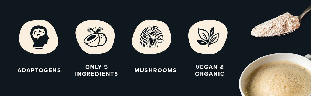 Rising Tide Organic Mushroom Creamer - Dairy Free, Unsweetened, Lions Mane and MCT - Only 4 Ingredients