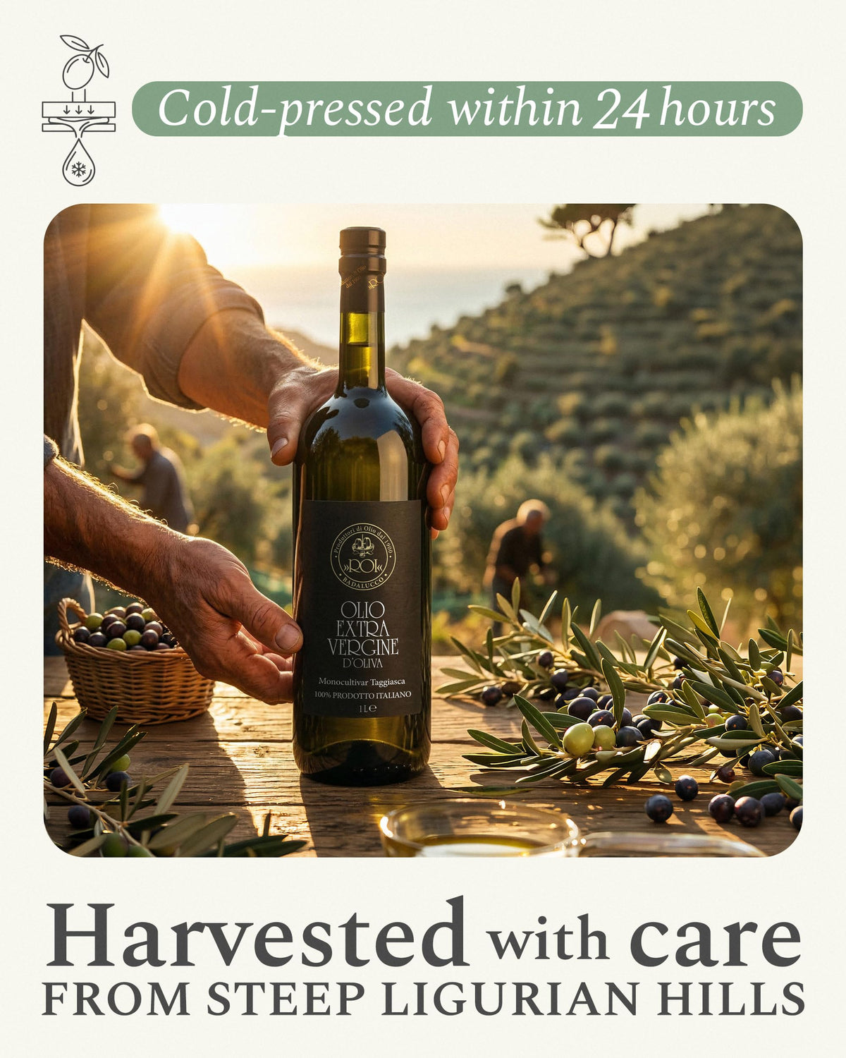 ROI Ligurian Extra Virgin Olive Oil | Taggiasca Single-Origin EVOO, Early Harvest, Cold-Pressed 1 L