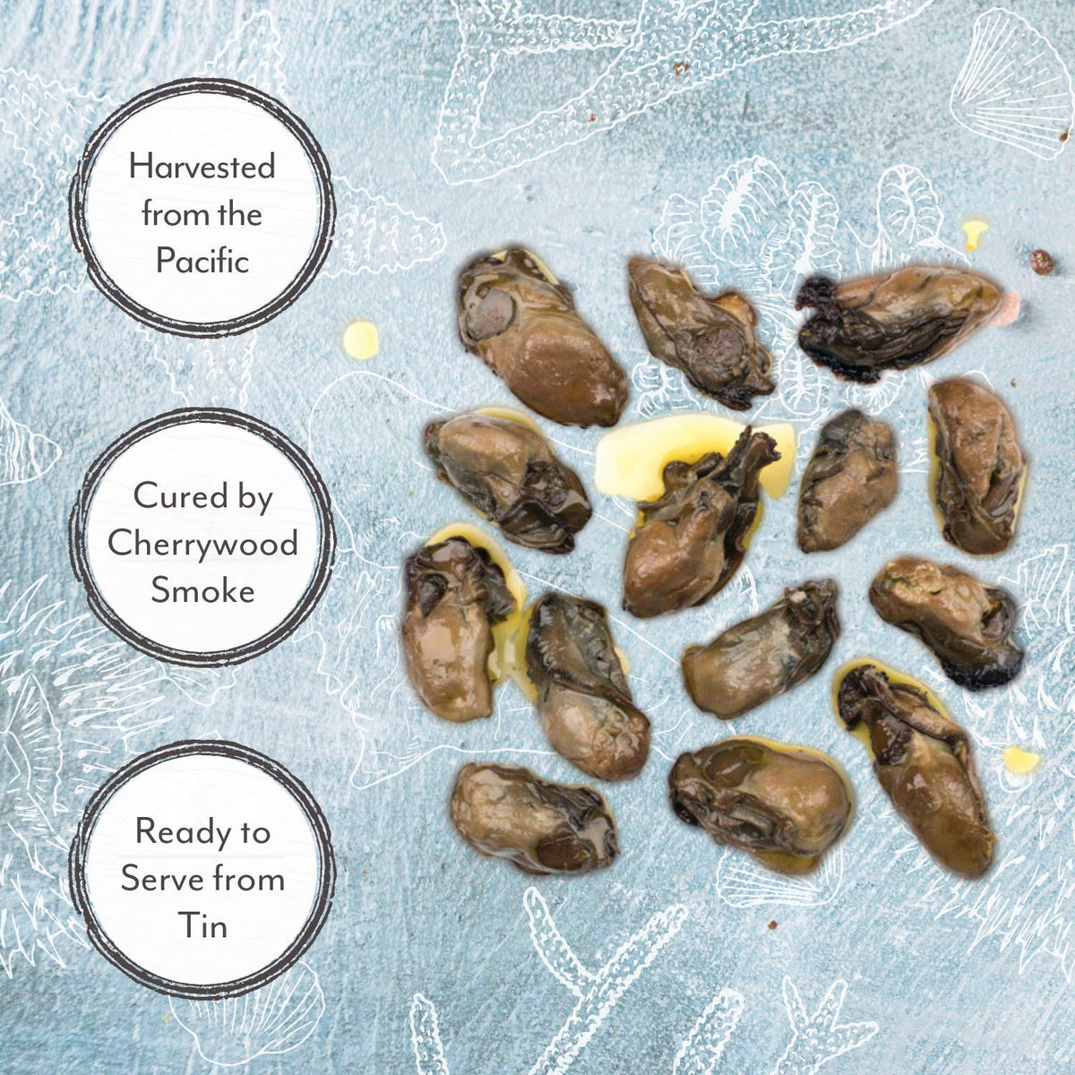 Roland Foods Petite Premium Smoked Oysters in Oil – Wild Caught, 3 oz Tin, Pack of 10