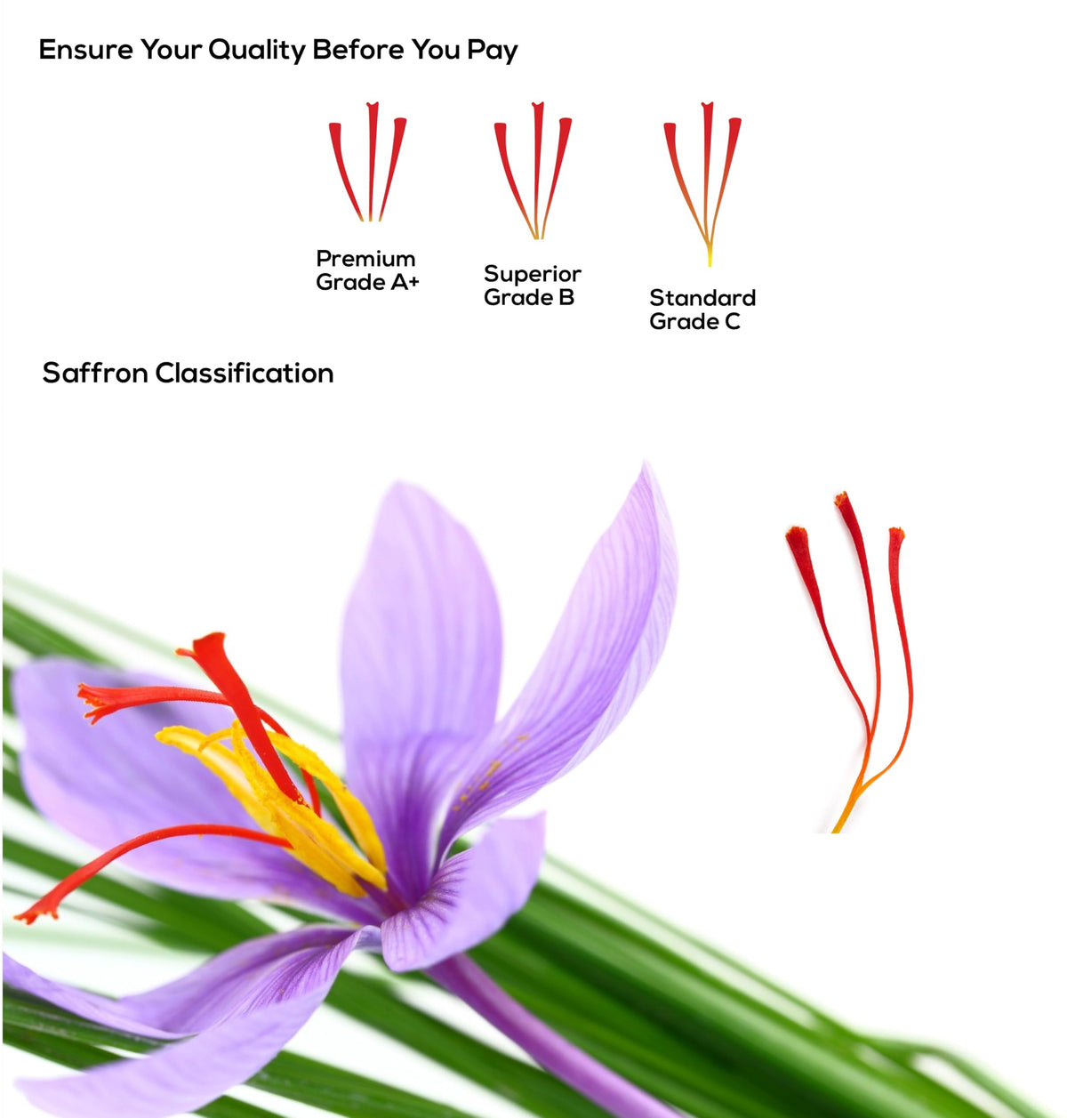 Safi Saffron Premium Threads 5g – ISO3632 Grade A+ | 100% Pure, All-Natural