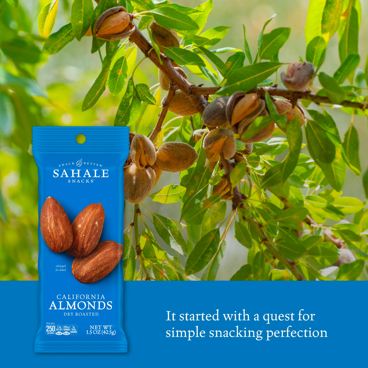Sahale Snacks California Dry Roasted Almonds – Grab & Go 1.5 oz Pouches (18 Pack) – Non-GMO, Kosher, Gluten-Free