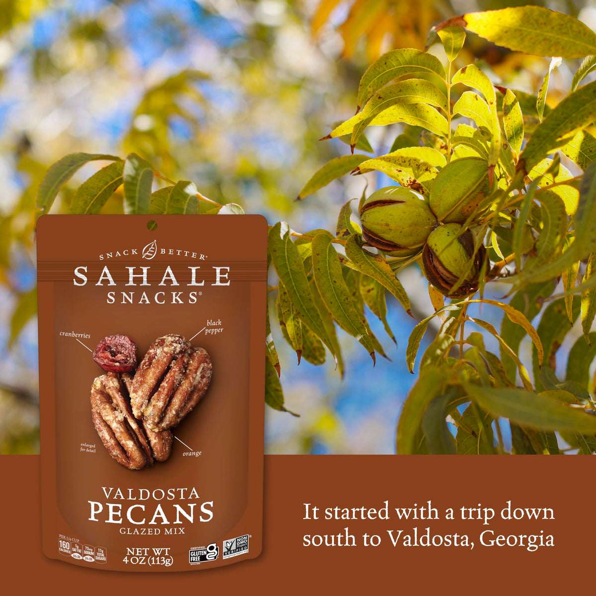 Sahale Snacks Valdosta Pecans Glazed Mix – 4 oz (Pack of 6)